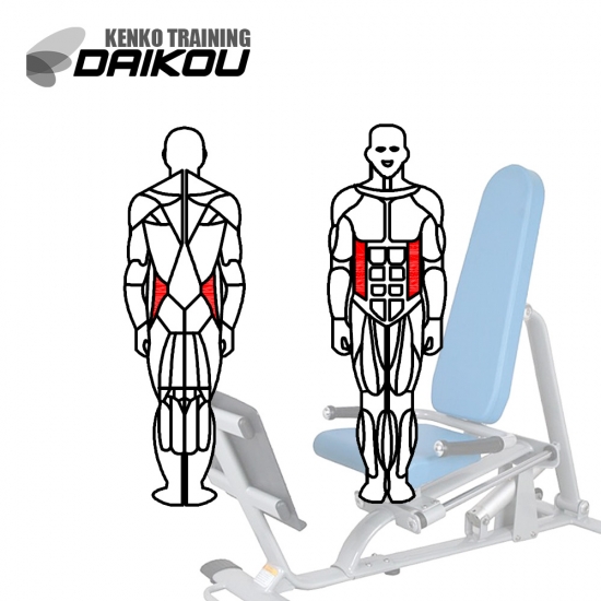 ケーブルトレーナーDAIKOU DK-L805筋力トレーニングや高齢者の
